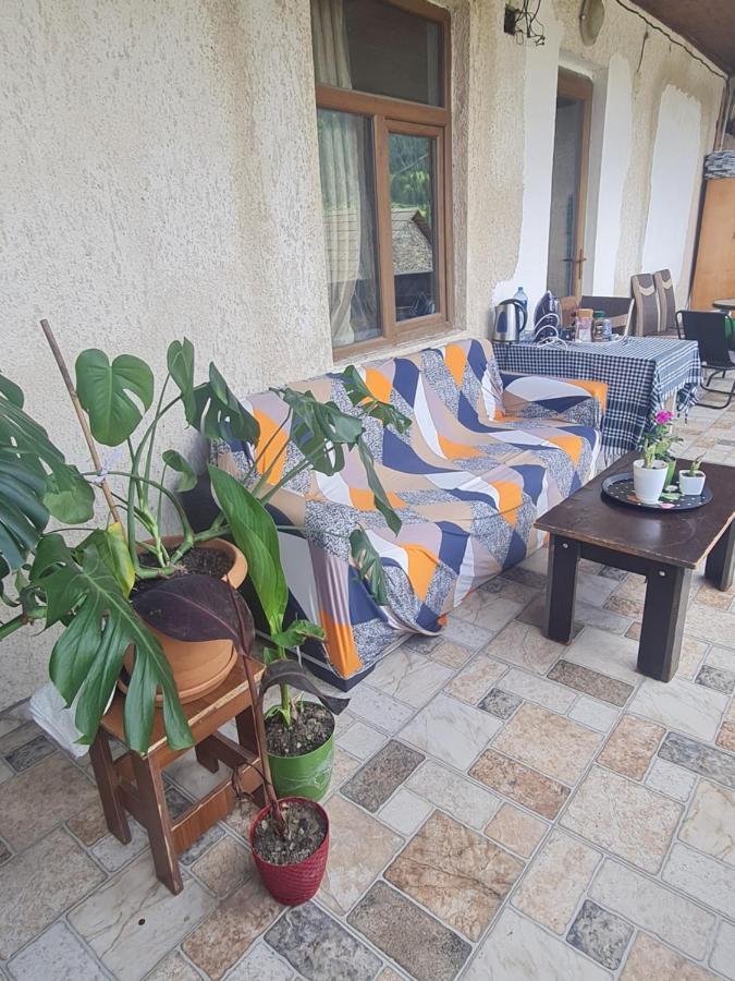 Guest House Goshtela Mestia Exterior photo